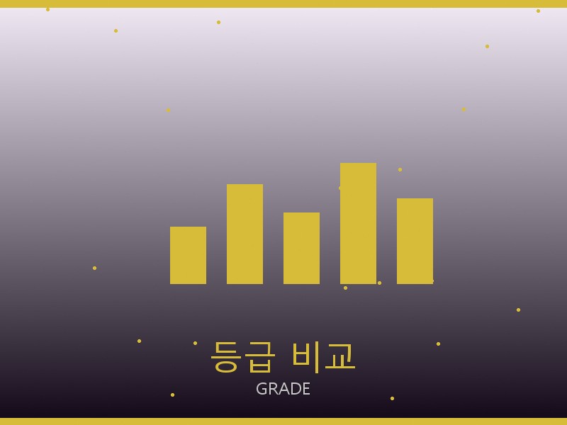 디올 캐리올 PM 레플 등급 기준 비교
