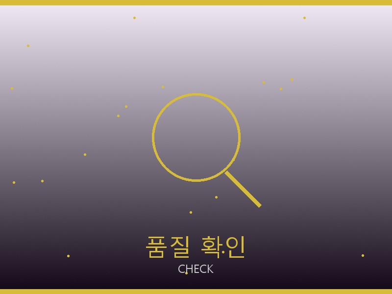 디올 캐리올 PM 레플 품질 확인 체크포인트
